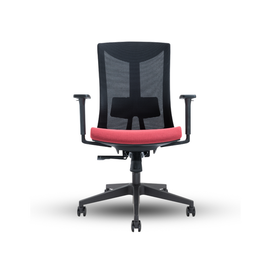 BONMESH Ergonomic Chair